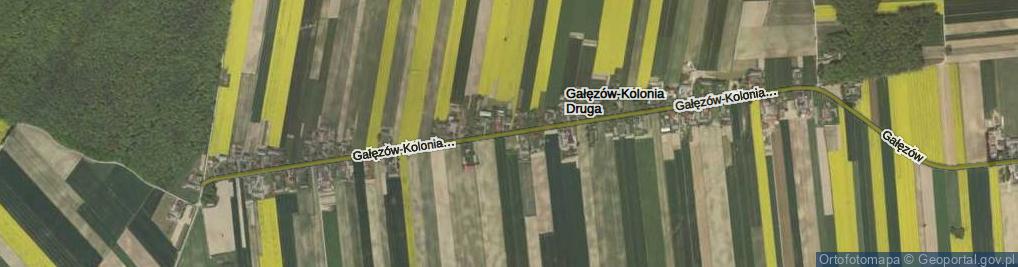 Zdjęcie satelitarne Gałęzów-Kolonia Druga ul.